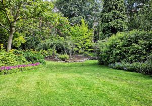 Optimiser l'expérience du jardin à Gillaume